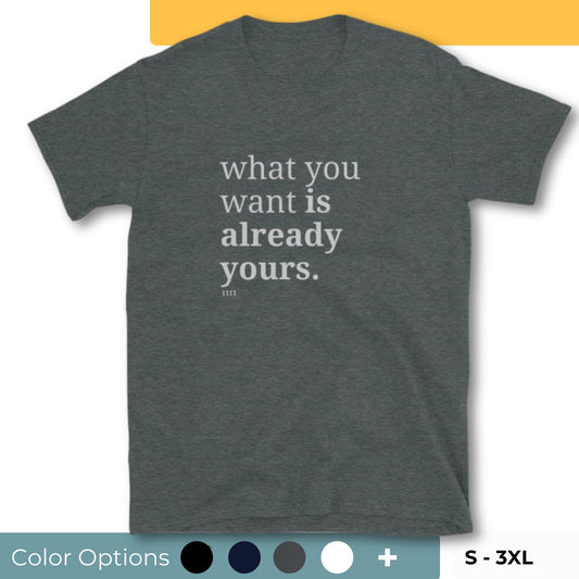 Gray t-shirt with the phrase "what you want is already yours." printed on the front, available in color options black, navy blue, gray, white, and light blue, available in sizes S to 3XL.