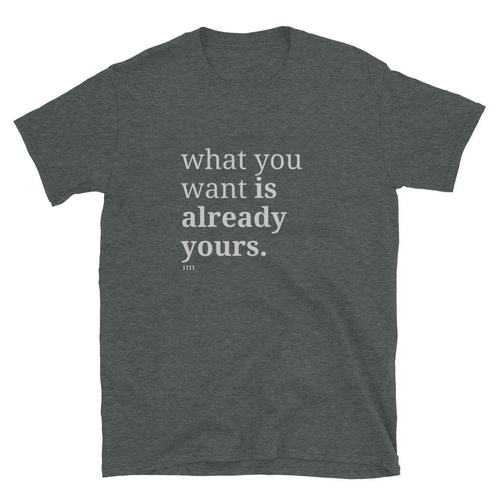 Gray t-shirt with the phrase "what you want is already yours." printed on the front, available in color options black, navy blue, gray, white, and light blue, available in sizes S to 3XL.