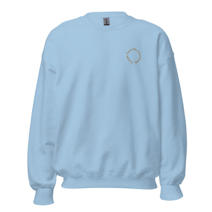 Light blue "Create Your Life Consciously" premium crew neck sweatshirt with ribbed cuffs, soft fleece lining, and comfortable fit.