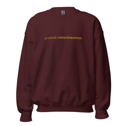 Maroon sweatshirt with the phrase "evolved consciousness." printed on the front, available in color options navy blue, green, maroon, gray, and pink, available in sizes S to 3XL.